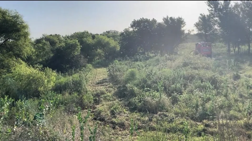 Pasture knocked down and opened back up