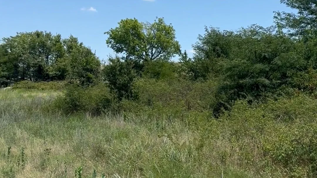 Land Clearing and Dirt Work in Bray, OK