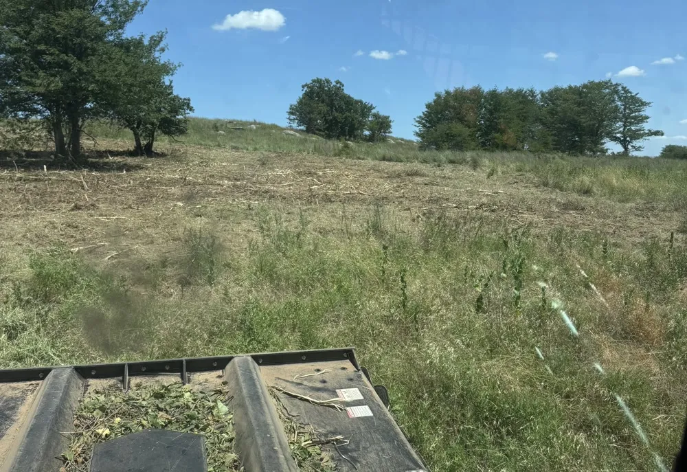 Land Clearing in Duncan, OK
