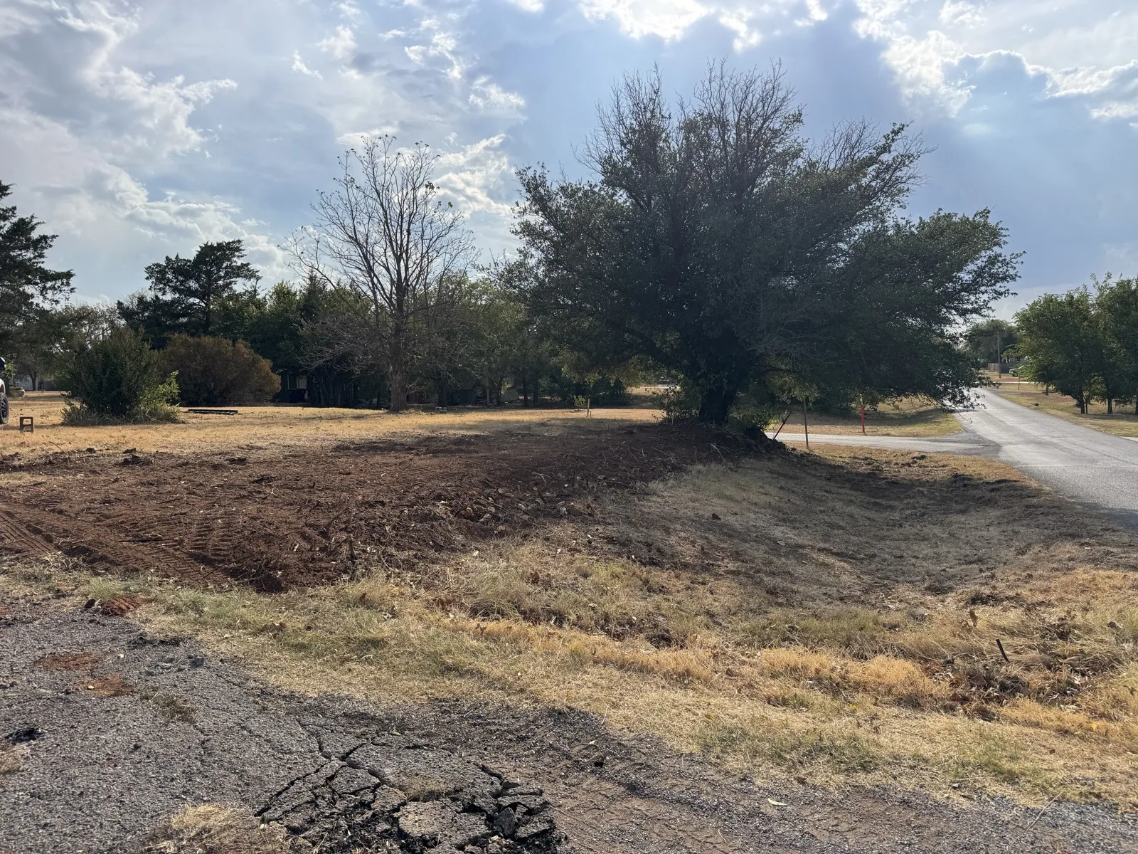 Cleared roadside lot with bare red dirt, track marks and pulled roots, one large tree left standing beside a paved street