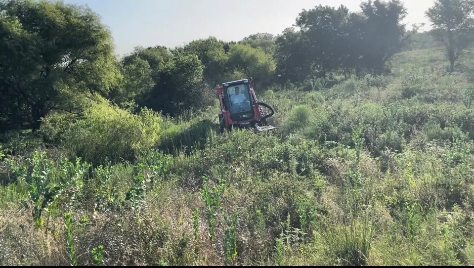 Land Clearing and Brush Hogging in Walters, OK